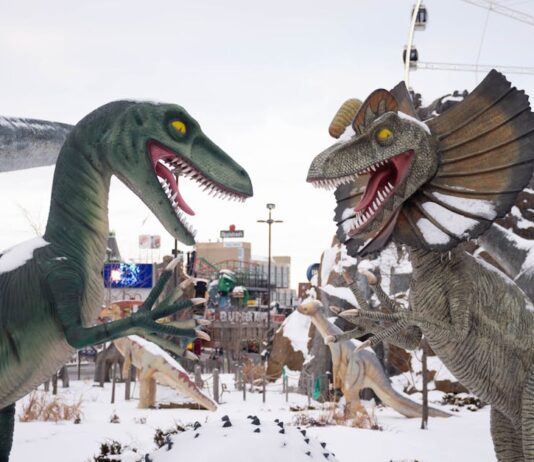 Who Owns Carowinds? Cedar Fair Owns Carowinds Who Owns Carowinds?