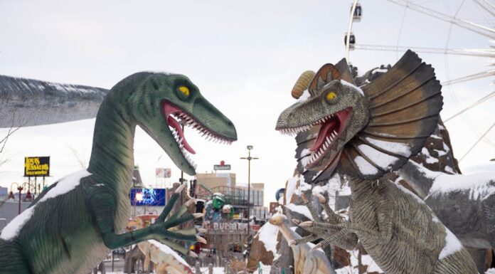 Who Owns Carowinds? Cedar Fair Owns Carowinds Who Owns Carowinds?