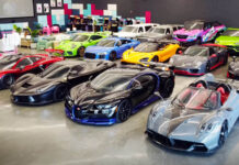 Who Owns The Hamilton Collection? Explained