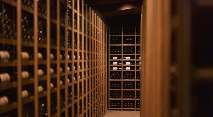 Who Owns XXL Wine? Exploring Ownership Details Who Owns XXL Wine?