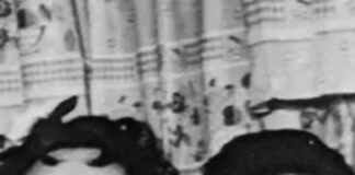 Rose Gerard Pacino: Life, Legacy, and Al’s Inspiration Rose Gerard Pacino